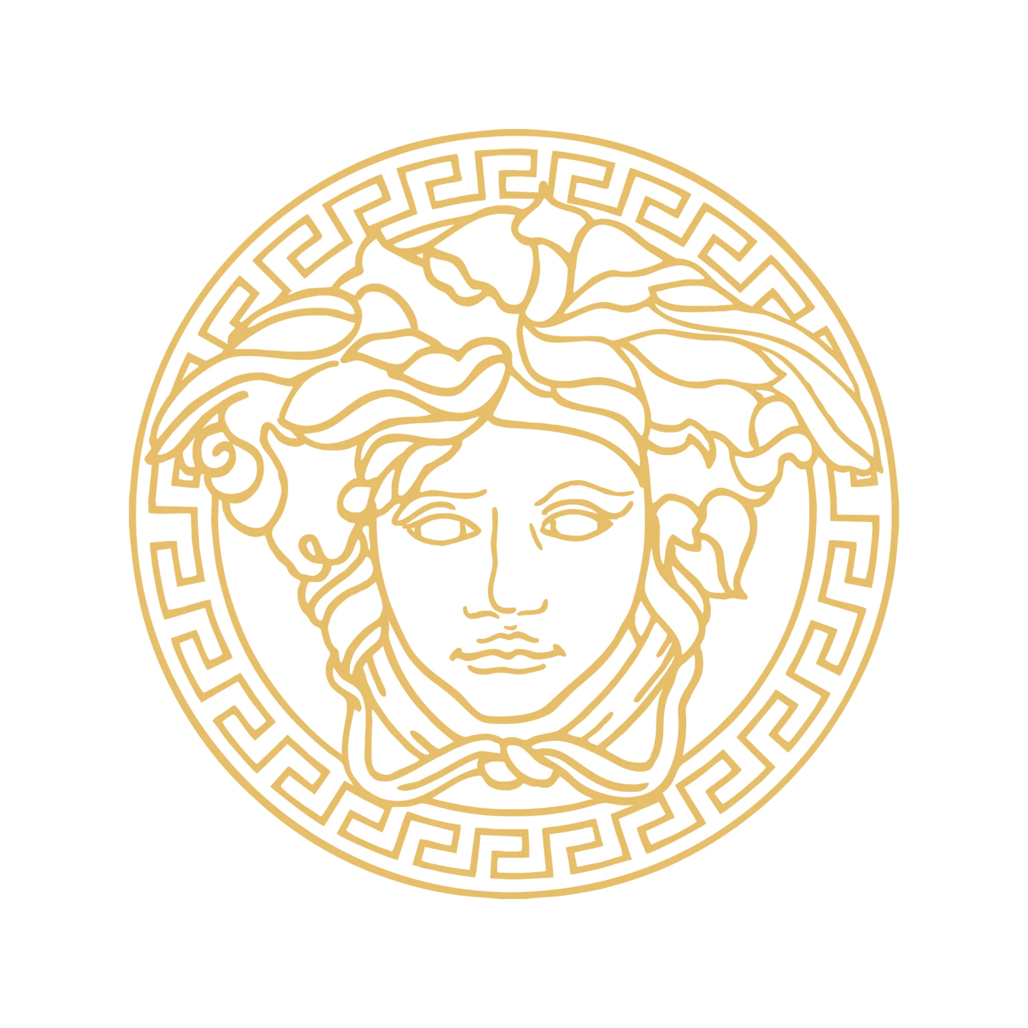 Стикеры(Автомобильные товары) Наклейки на машину из виниловой пленки. &quotВерсачи