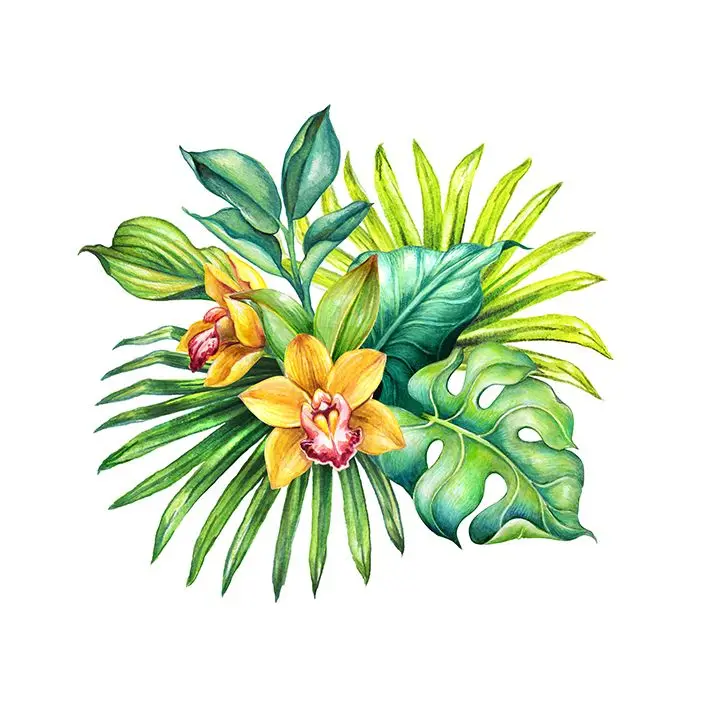 Занавеска для душа Тропический букет с большими листьями цветы орхидеи