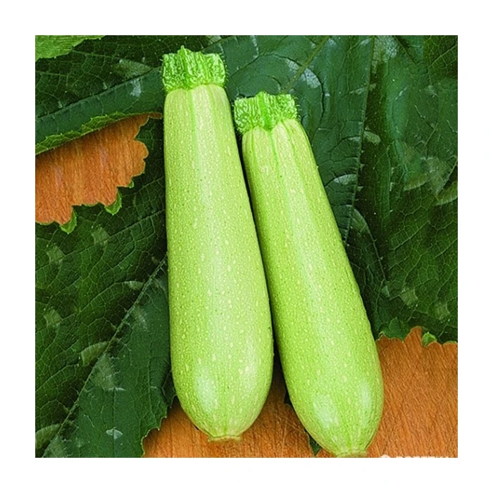 

ESKENDERANY F1 Kabak Tohumu 100 Gram