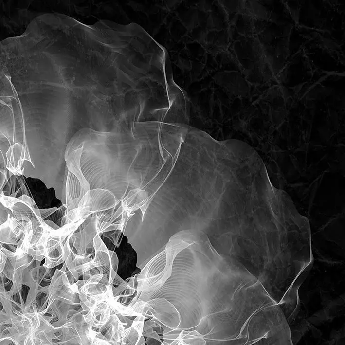 

Curtain Smoke Explosion Motion in the Air Artistic Decorative Pattern Floral Fantasy Monochromic Photo Gray Black