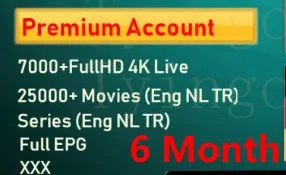 6 Month ESUNTV NoBox ESUNTV X96Mini FHD Нидерланды Великобритания Турецкая шведская IPTV приставка Испания Италия Германия нам CA XXX 7000 live 26000 VOD серии HD EPG поддержка - Цвет: 6 Month ESUNTV NoBox