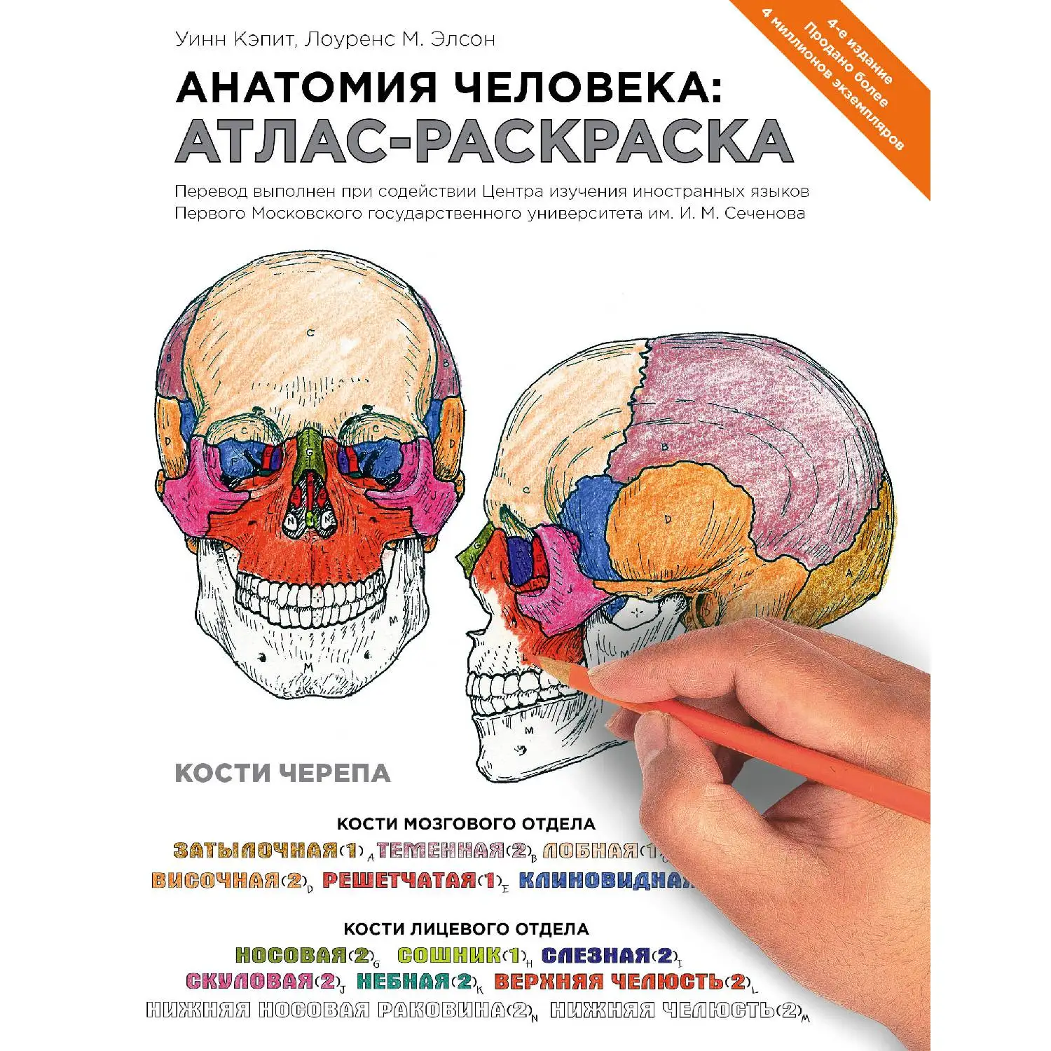 Анатомия человека: атлас раскраска (Лоуренс М. Элсон Уинн Кэпит 978 5 699 71506 0 376 стр.