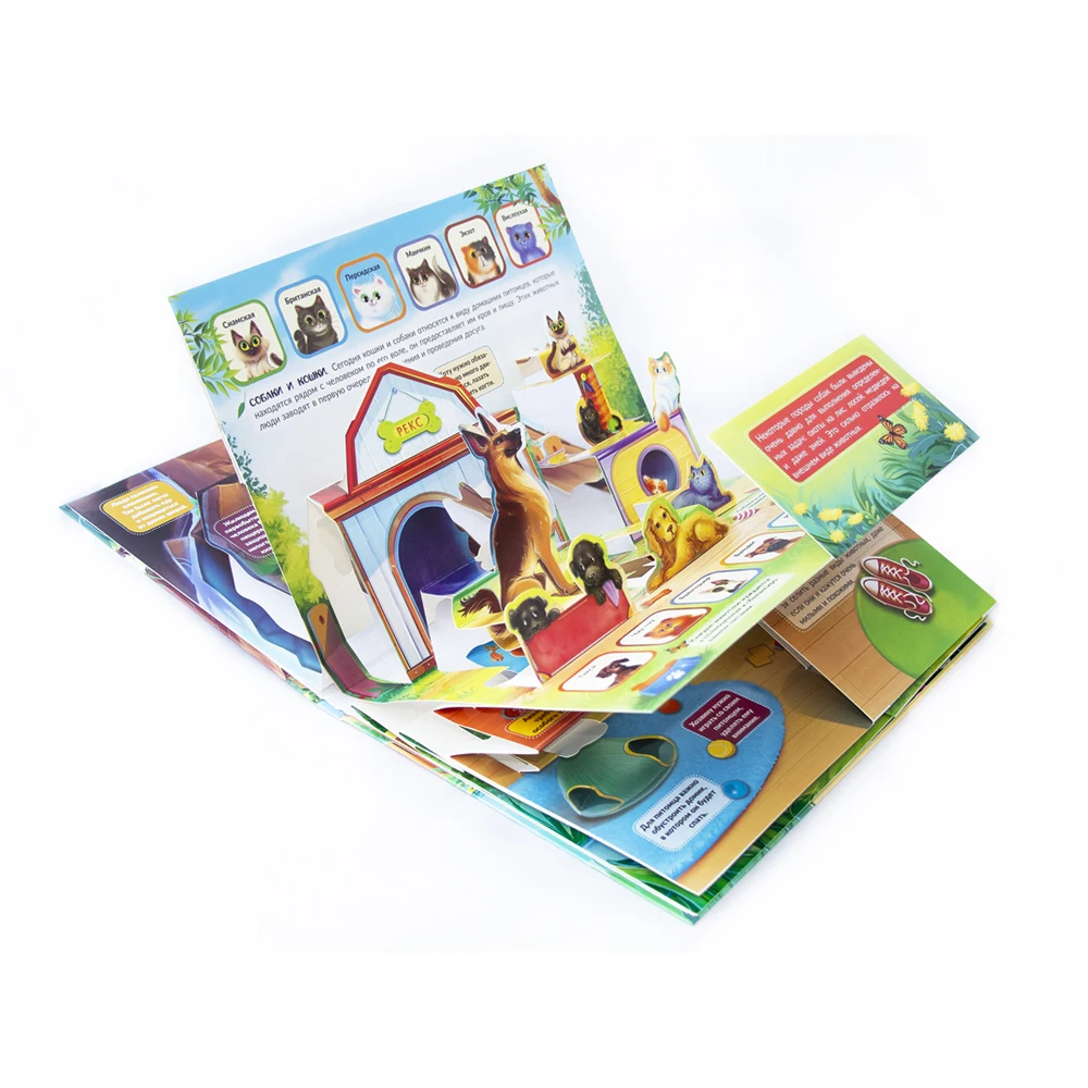 POP UP энциклопедия.Домашние животные : книжка панорамка|Чтение| |