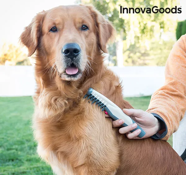 Электрическая расческа Taglianodi для собак InnovaGoods
