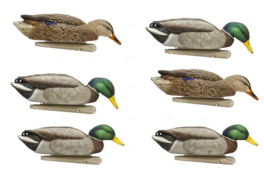 Комплект чучел утки "Кряква Topflight Mallards Backwater Series №8070" (Avian-X) - купить по
