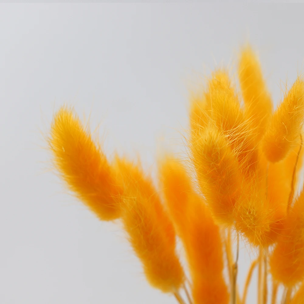 60 шт./пакет настоящие цветы для украшения дома компоновка хвост кролика трава