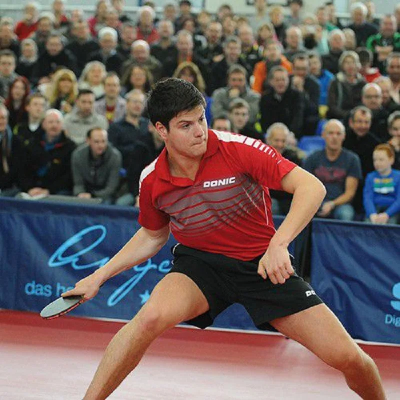 Donic Schildkrot Ovtcharov 400 ITTF профессиональные ракетки для настольного тенниса спорта